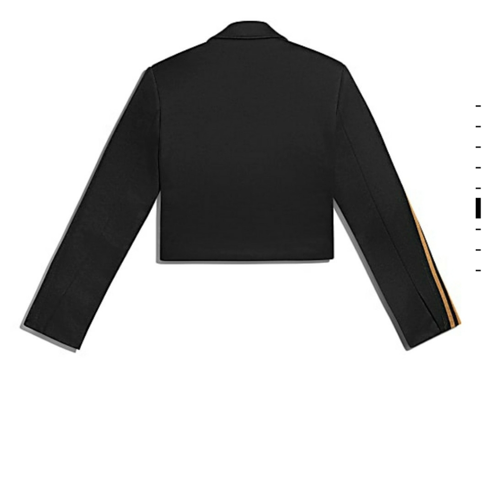 Ivy Park cropped suit jacket drip 2.2